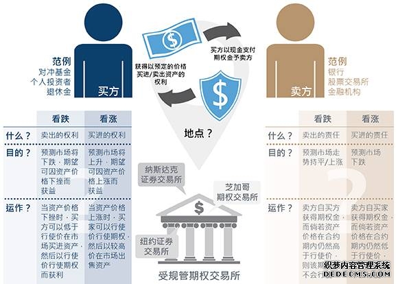 新手必看:手把手教你玩转美股期权交易